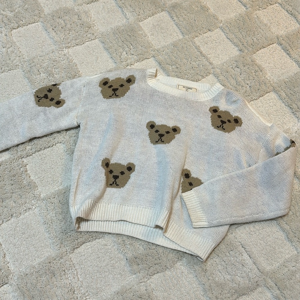 “no comment” Teddy bear sweater